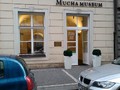 Muchovo muzeum