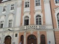 Židovská obec v Praze