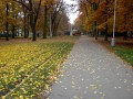 Park Stromovka