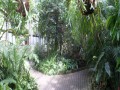 Botanická zahrada Albertov
