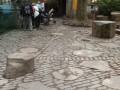 ZOO - Praha